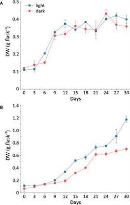 UPLC-HRMS Analysis Revealed the Differential Accumulation of Antioxidant and Anti-Aging Lignans and Neolignans in In Vitro Cultures of Linum usitatissimum L